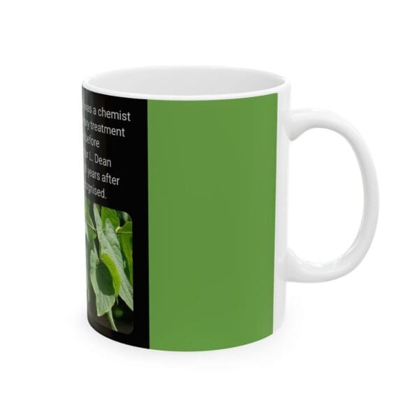 A green mug with the words " a leaf is a plant " on it.